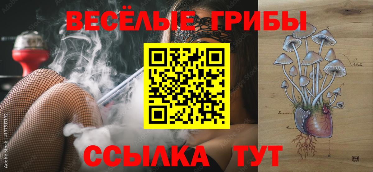 Галлюциногенные грибы мицелий Кострома