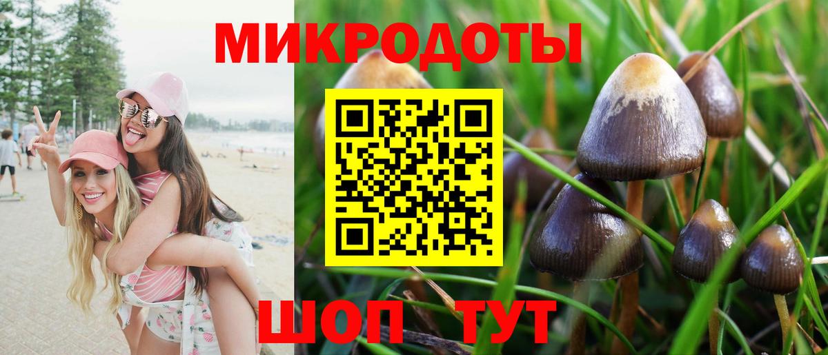 Кострома  Галлюциногенные грибы Cubensis  Галлюциногенные грибы ЛСД  Вход с VPN 